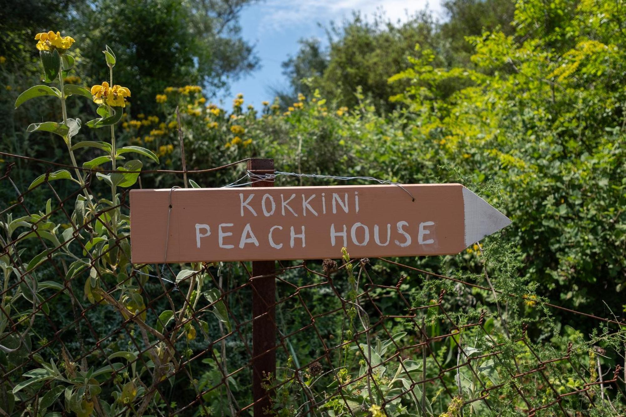 Kokkini Peach House Apartment Kokkinion Exterior photo